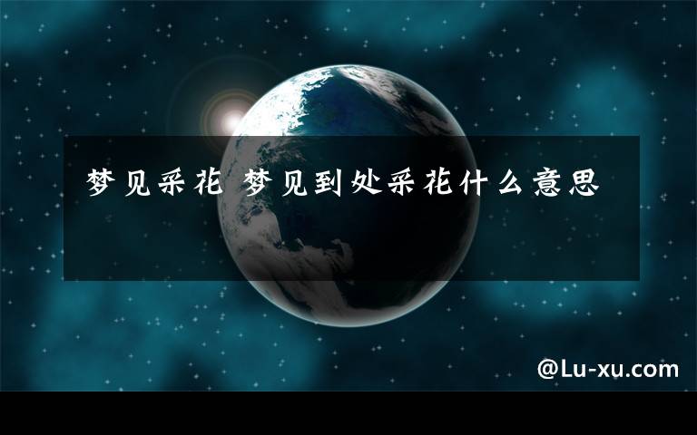 梦见采花 梦见到处采花什么意思