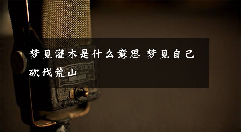 梦见灌木是什么意思 梦见自己砍伐荒山文章配图
