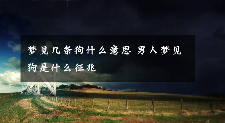 梦见几条狗什么意思 男人梦见狗是什么征兆文章配图
