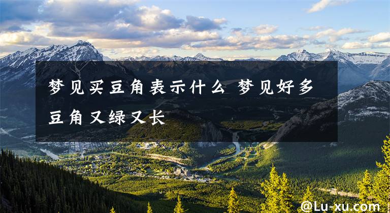 梦见买豆角表示什么 梦见好多豆角又绿又长文章配图