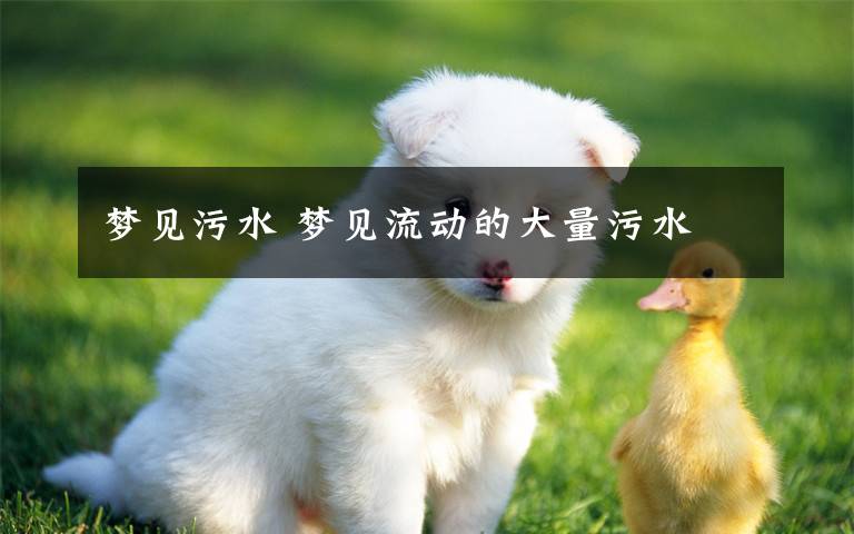 梦见污水 梦见流动的大量污水文章配图