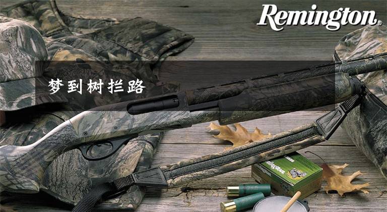 梦到树拦路文章配图