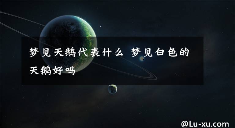 梦见天鹅代表什么 梦见白色的天鹅好吗