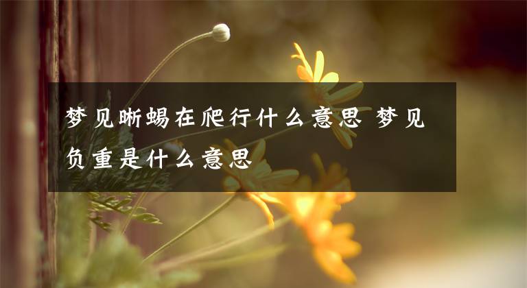 梦见晰蜴在爬行什么意思 梦见负重是什么意思文章配图