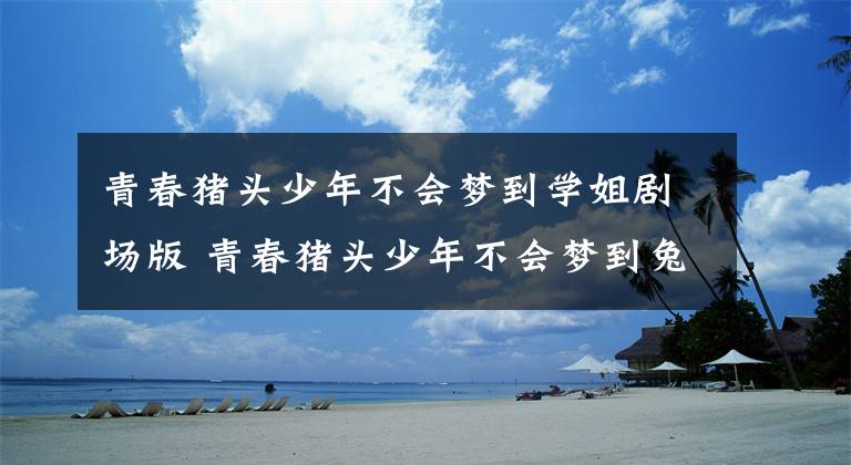 青春猪头少年不会梦到学姐剧场版 青春猪头少年不会梦到兔女郎学姐文章配图