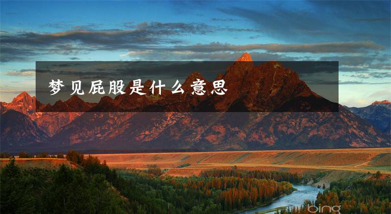 梦见屁股是什么意思文章配图