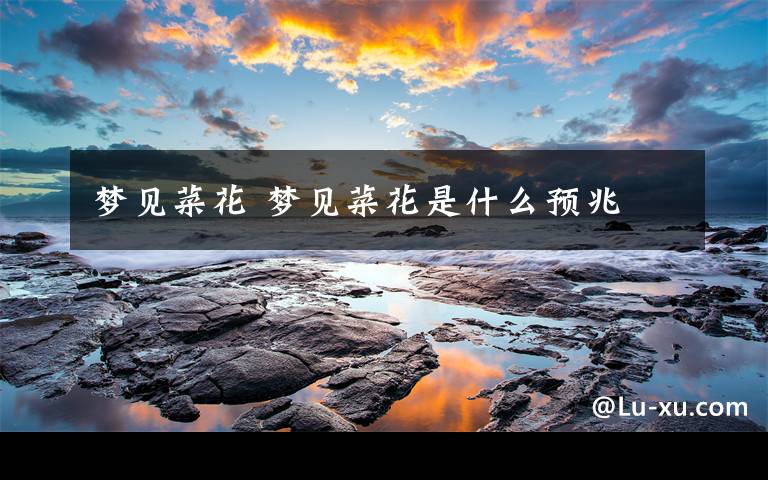 梦见菜花 梦见菜花是什么预兆