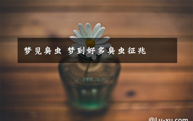 梦见臭虫 梦到好多臭虫征兆