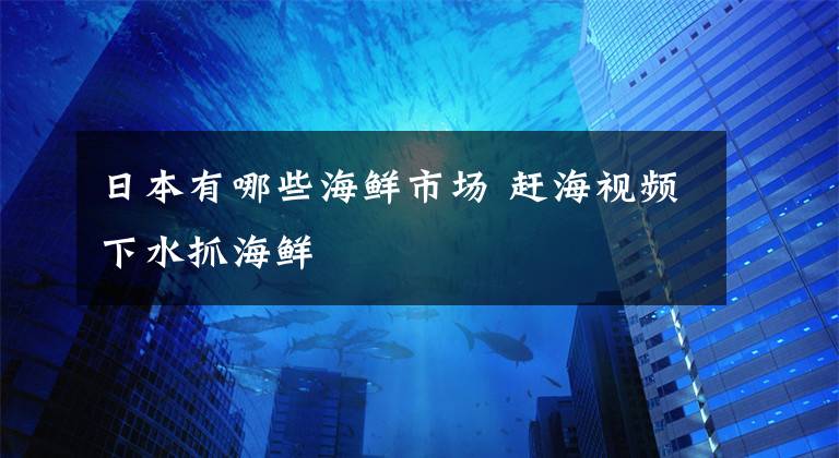 日本有哪些海鲜市场 赶海视频下水抓海鲜