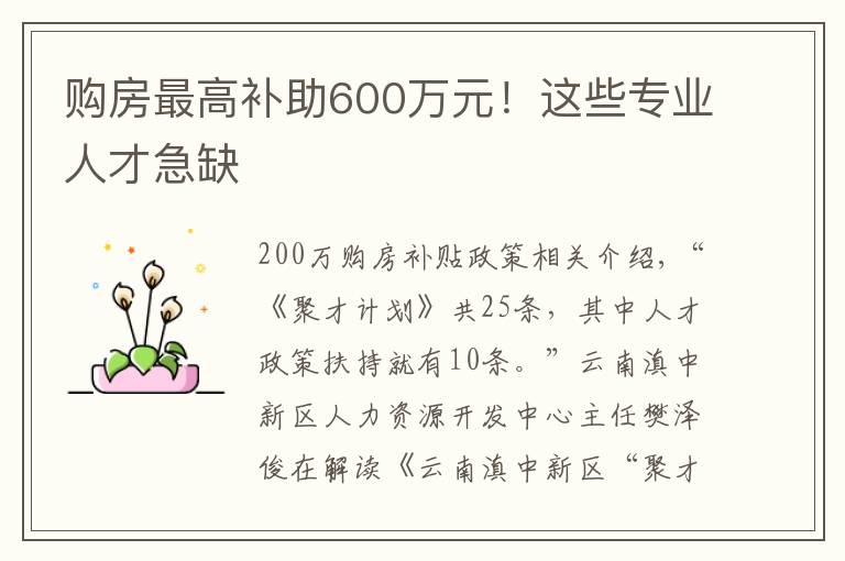 购房最高补助600万元！这些专业人才急缺