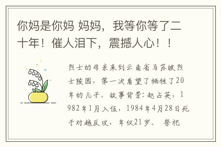 你妈是你妈 妈妈，我等你等了二十年！催人泪下，震撼人心！！！文章配图