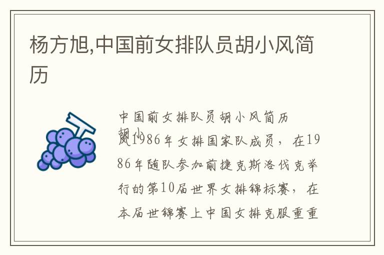 杨方旭,中国前女排队员胡小风简历文章配图