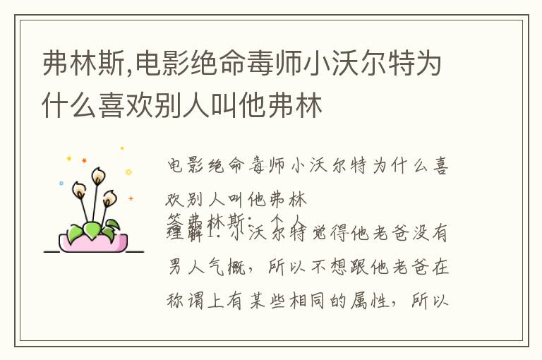 弗林斯,电影绝命毒师小沃尔特为什么喜欢别人叫他弗林文章配图
