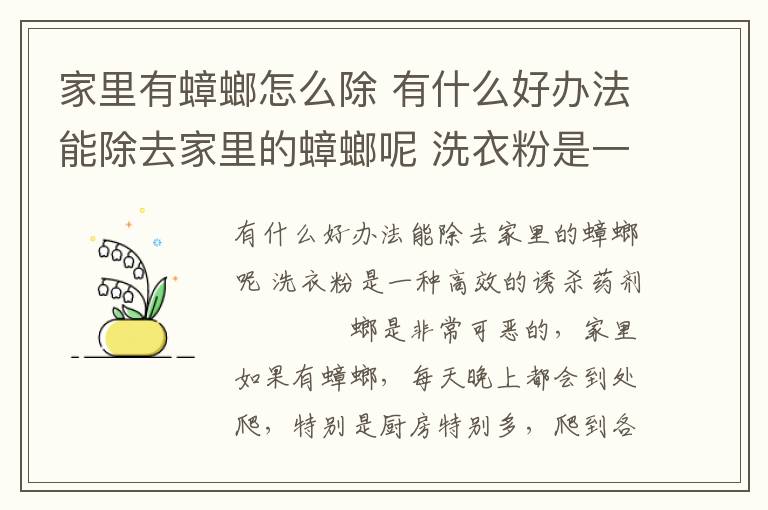 家里有蟑螂怎么除 有什么好办法能除去家里的蟑螂呢 洗衣粉是一种高效的诱杀药剂文章配图