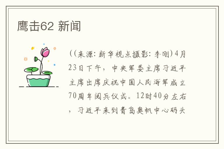 鹰击62 新闻文章配图