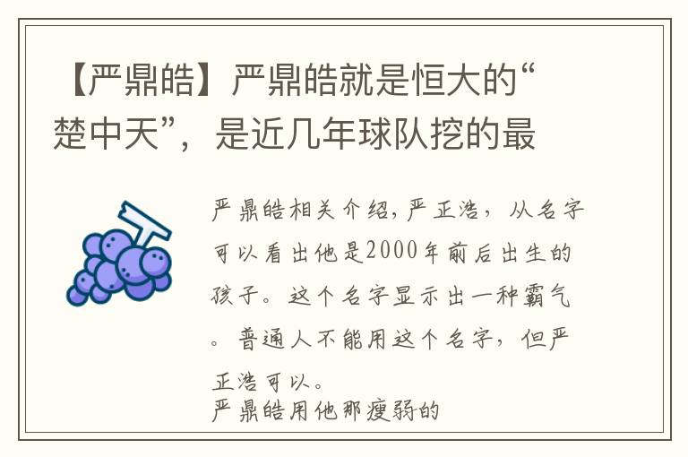 【严鼎皓】严鼎皓就是恒大的“楚中天”，是近几年球队挖的最靠谱海归文章配图