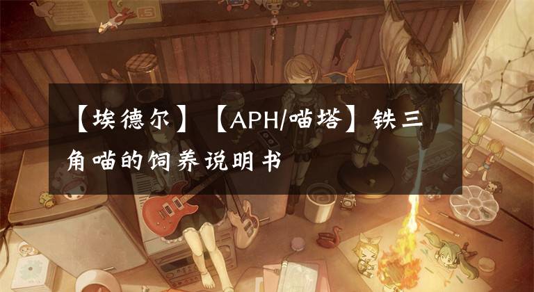 【埃德尔】【APH/喵塔】铁三角喵的饲养说明书