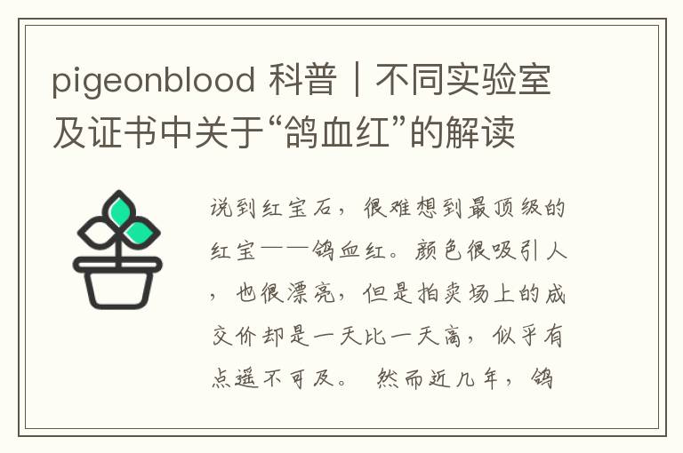pigeonblood 科普｜不同实验室及证书中关于“鸽血红”的解读文章配图