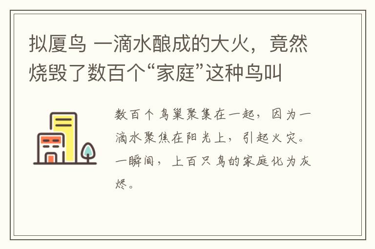 拟厦鸟 一滴水酿成的大火，竟然烧毁了数百个“家庭”这种鸟叫拟厦鸟文章配图
