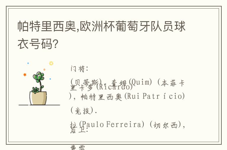 帕特里西奥,欧洲杯葡萄牙队员球衣号码？文章配图