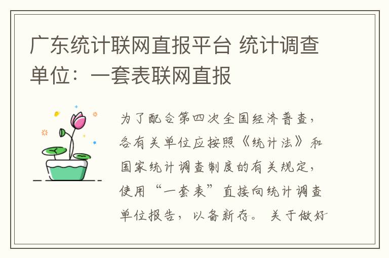 广东统计联网直报平台 统计调查单位：一套表联网直报文章配图