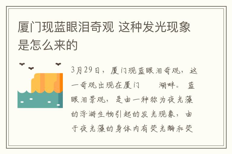 厦门现蓝眼泪奇观 这种发光现象是怎么来的文章配图
