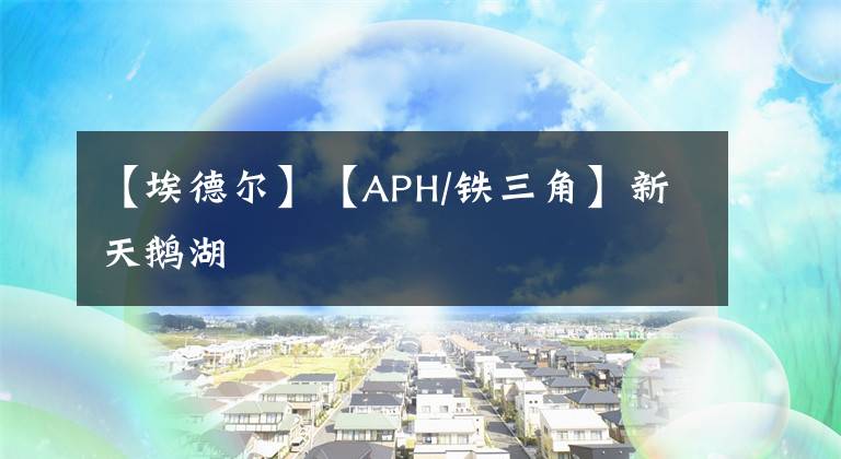 【埃德尔】【APH/铁三角】新天鹅湖