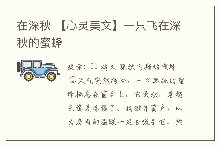 在深秋 【心灵美文】一只飞在深秋的蜜蜂文章配图