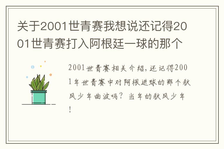 关于2001世青赛我想说还记得2001世青赛打入阿根廷一球的那个追风少年曲波吗？文章配图