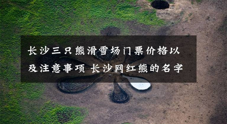 长沙三只熊滑雪场门票价格以及注意事项 长沙网红熊的名字文章配图