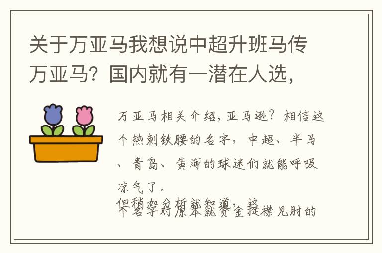 关于万亚马我想说中超升班马传万亚马？国内就有一潜在人选，比热刺铁腰更靠谱