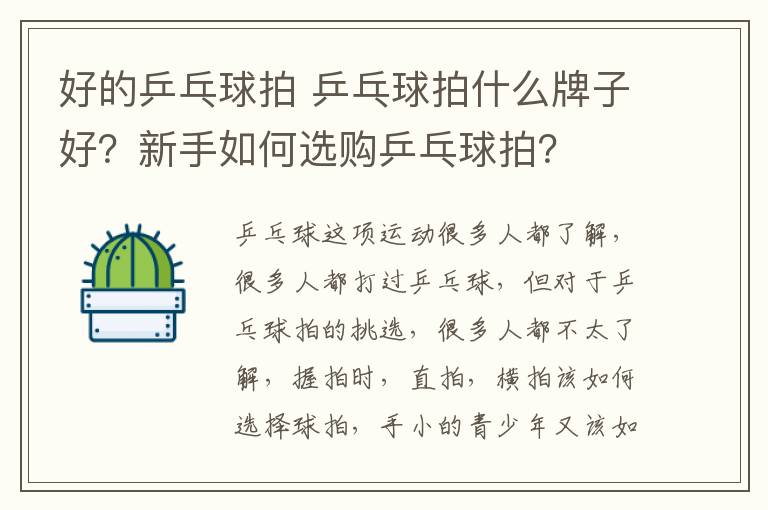 好的乒乓球拍 乒乓球拍什么牌子好？新手如何选购乒乓球拍？文章配图