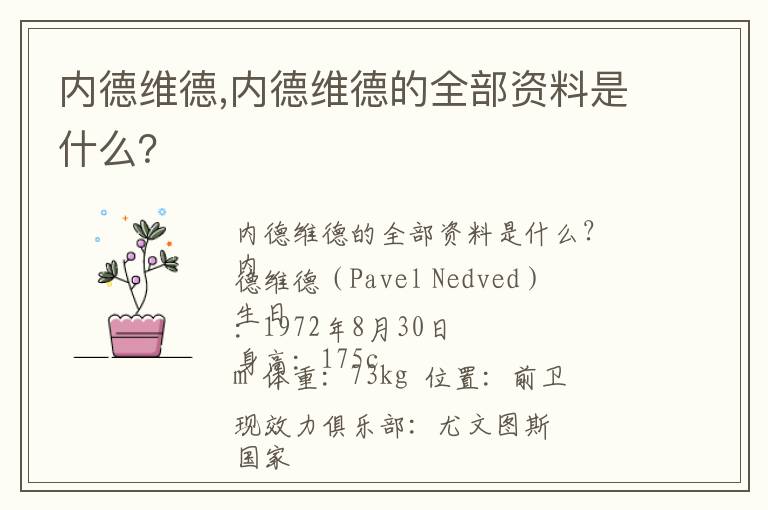 内德维德,内德维德的全部资料是什么？文章配图