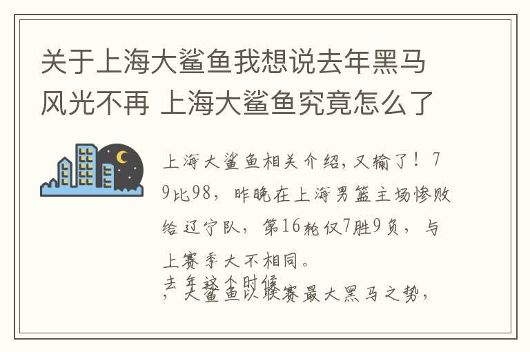 关于上海大鲨鱼我想说去年黑马风光不再 上海大鲨鱼究竟怎么了？文章配图
