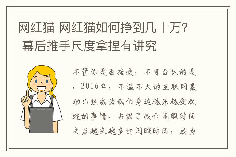 网红猫 网红猫如何挣到几十万？ 幕后推手尺度拿捏有讲究文章配图