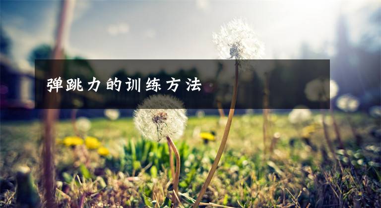 弹跳力的训练方法文章配图