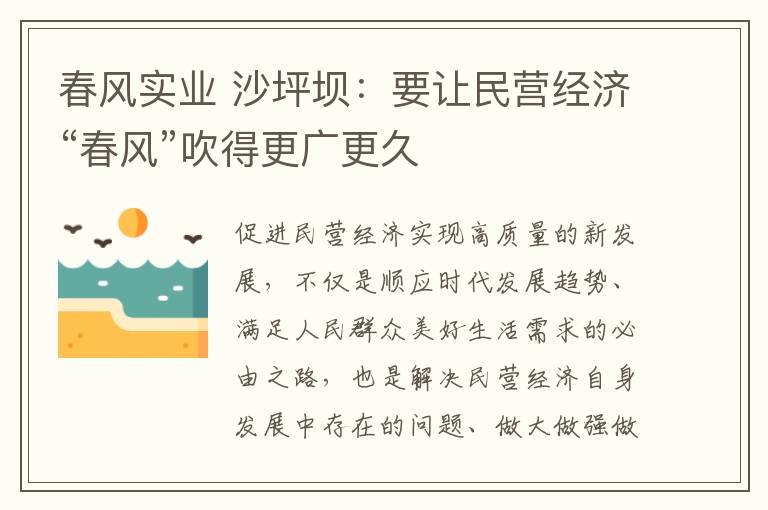 春风实业 沙坪坝：要让民营经济“春风”吹得更广更久文章配图