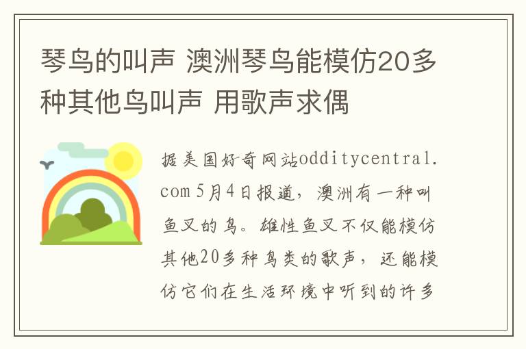 琴鸟的叫声 澳洲琴鸟能模仿20多种其他鸟叫声 用歌声求偶文章配图