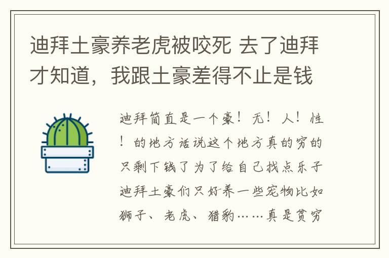 迪拜土豪养老虎被咬死 去了迪拜才知道，我跟土豪差得不止是钱……文章配图