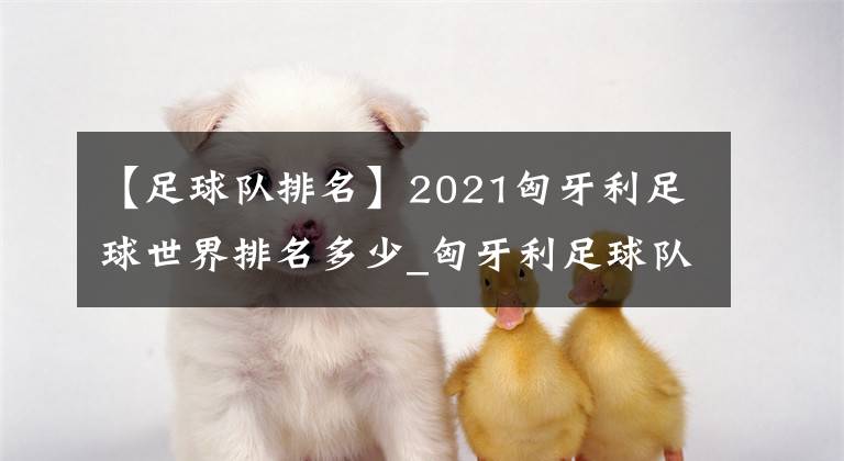 【足球队排名】2021匈牙利足球世界排名多少_匈牙利足球队FIFA排名介绍