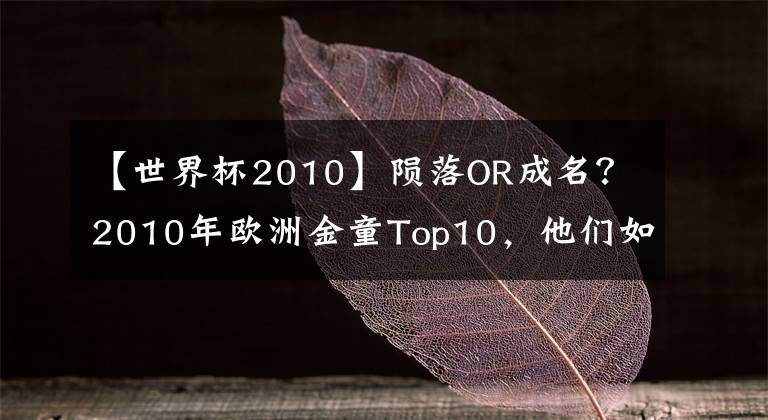 【世界杯2010】陨落OR成名？2010年欧洲金童Top10，他们如今在何方文章配图