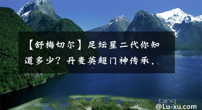 【舒梅切尔】足坛星二代你知道多少？丹麦英超门神传承，马尔蒂尼三代共侍米兰