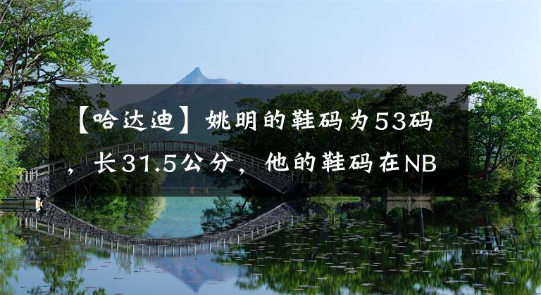 【哈达迪】姚明的鞋码为53码，长31.5公分，他的鞋码在NBA是什么级别？