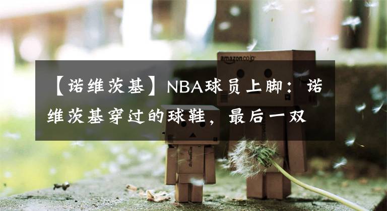 【诺维茨基】NBA球员上脚：诺维茨基穿过的球鞋，最后一双太经典了！