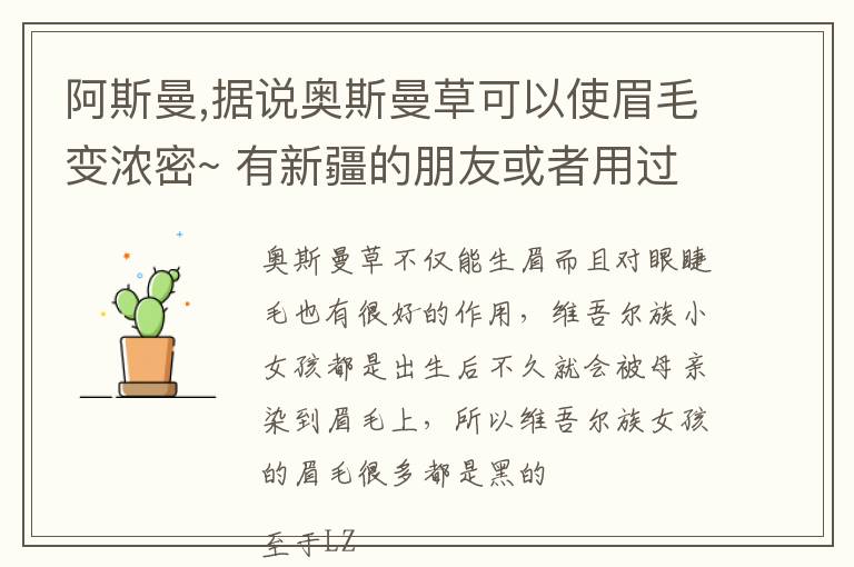 阿斯曼,据说奥斯曼草可以使眉毛变浓密~ 有新疆的朋友或者用过的吗？给点意见文章配图