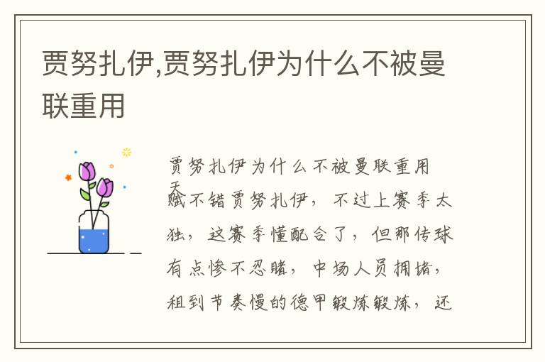 贾努扎伊,贾努扎伊为什么不被曼联重用文章配图
