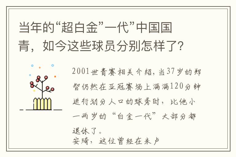 当年的“超白金”一代”中国国青，如今这些球员分别怎样了？文章配图