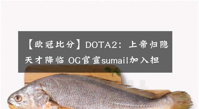 【欧冠比分】DOTA2：上帝归隐天才降临 OG官宣sumail加入担任一号位