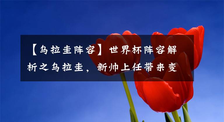 【乌拉圭阵容】世界杯阵容解析之乌拉圭，新帅上任带来变化，南美马竞望创造奇迹文章配图