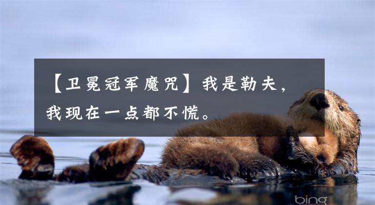 【卫冕冠军魔咒】我是勒夫，我现在一点都不慌。文章配图